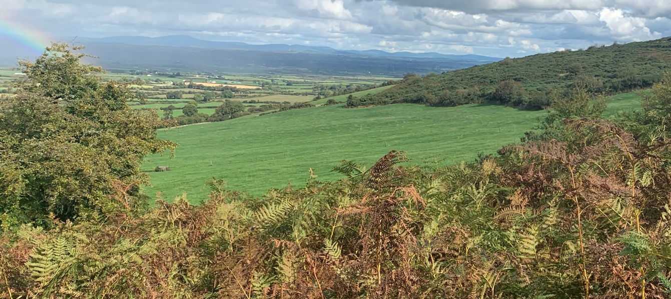 Carey farmland Common