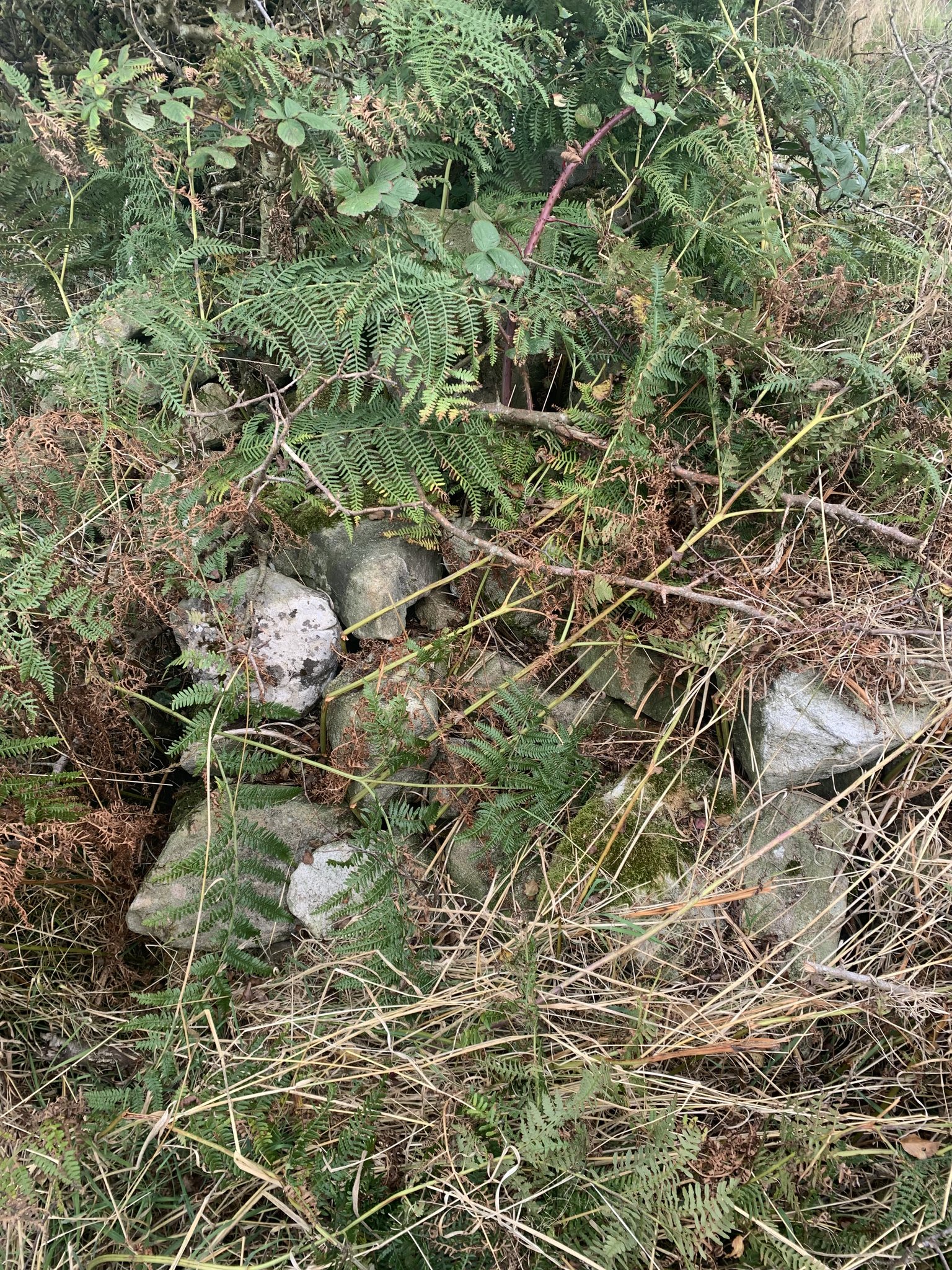 Stones on Carey
              farmland